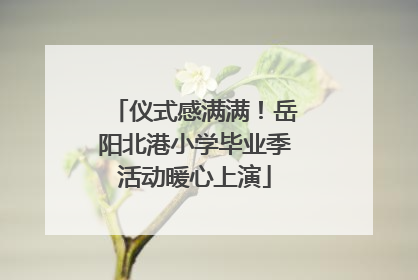 仪式感满满！岳阳北港小学毕业季活动暖心上演