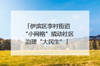 伊滨区李村街道 “小网格”撬动社区治理“大民生”