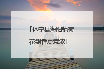 休宁县海阳镇荷花飘香夏意浓