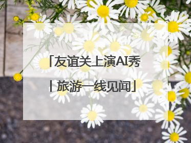 友谊关上演AI秀丨旅游一线见闻