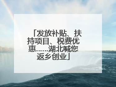 发放补贴、扶持项目、税费优惠……湖北喊您返乡创业