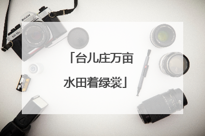 台儿庄万亩水田着绿裳