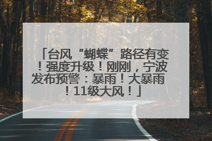 台风“蝴蝶”路径有变！强度升级！刚刚，宁波发布预警：暴雨！大暴雨！11级大风！