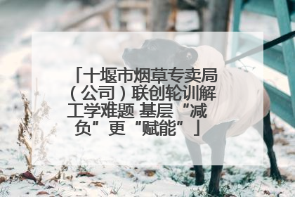 十堰市烟草专卖局（公司）联创轮训解工学难题 基层“减负”更“赋能”