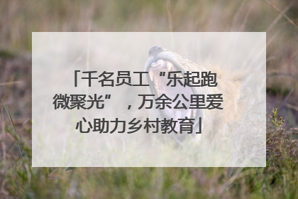 千名员工“乐起跑 微聚光”，万余公里爱心助力乡村教育