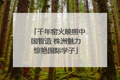 千年窑火映照中国智造 株洲魅力惊艳国际学子