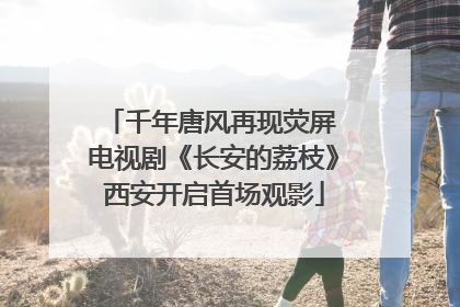 千年唐风再现荧屏 电视剧《长安的荔枝》西安开启首场观影