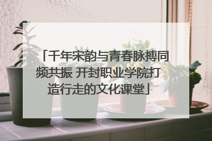 千年宋韵与青春脉搏同频共振 开封职业学院打造行走的文化课堂