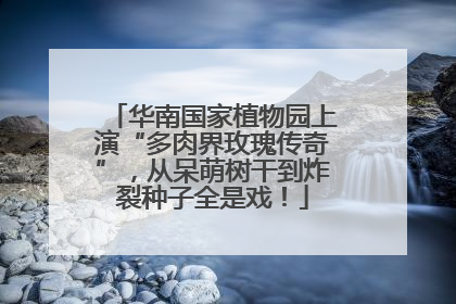 华南国家植物园上演“多肉界玫瑰传奇”，从呆萌树干到炸裂种子全是戏！