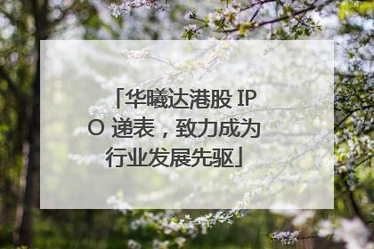 华曦达港股 IPO 递表，致力成为行业发展先驱