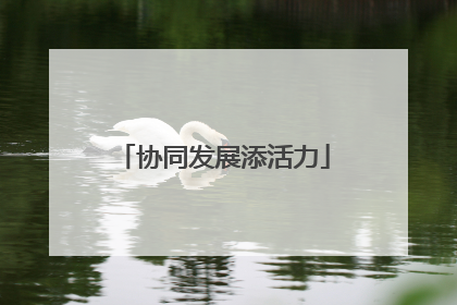 协同发展添活力