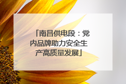南昌供电段：党内品牌助力安全生产高质量发展