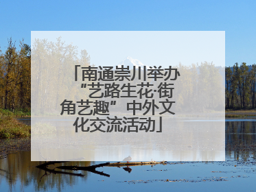 南通崇川举办“艺路生花·街角艺趣”中外文化交流活动