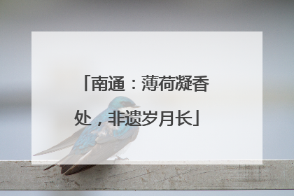 南通：薄荷凝香处，非遗岁月长