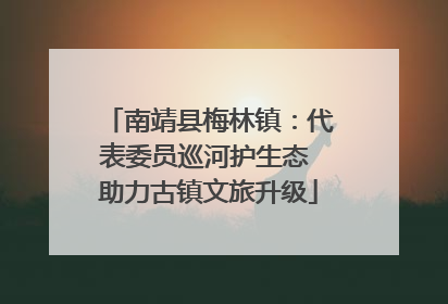 南靖县梅林镇：代表委员巡河护生态 助力古镇文旅升级