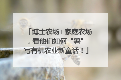 博士农场+家庭农场，看他们如何“薯” 写有机农业新童话！