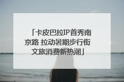 卡皮巴拉IP首秀南京路 拉动暑期步行街文旅消费新热潮