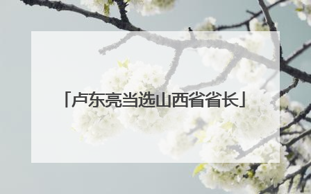 卢东亮当选山西省省长