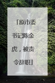 原市委书记陈金虎，被责令辞职