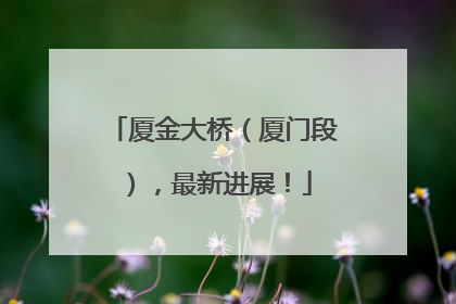 厦金大桥（厦门段），最新进展！