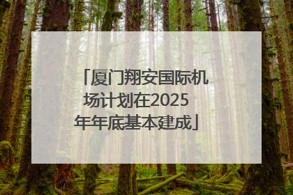 厦门翔安国际机场计划在2025年年底基本建成