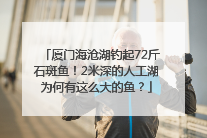 厦门海沧湖钓起72斤石斑鱼！2米深的人工湖为何有这么大的鱼？