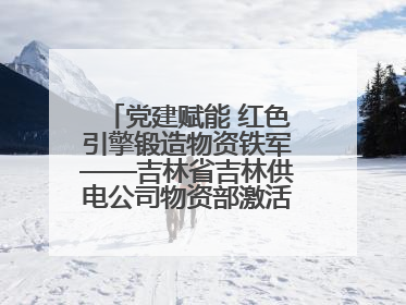 党建赋能 红色引擎锻造物资铁军——吉林省吉林供电公司物资部激活供应链新动能