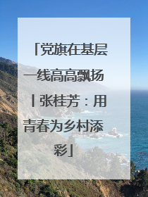 党旗在基层一线高高飘扬丨张桂芳：用青春为乡村添彩