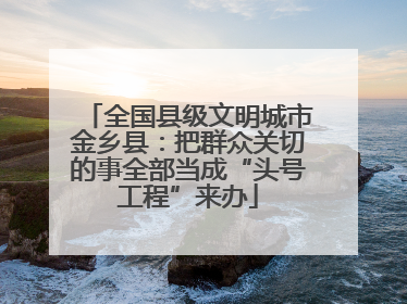 全国县级文明城市金乡县：把群众关切的事全部当成“头号工程”来办