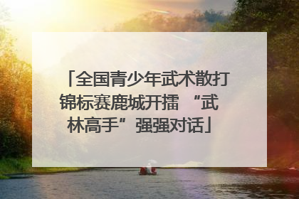 全国青少年武术散打锦标赛鹿城开擂 “武林高手”强强对话