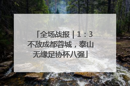 全场战报｜1：3不敌成都蓉城，泰山无缘足协杯八强