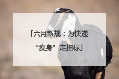 六月新规：为快递“瘦身”定指标