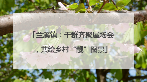 兰溪镇：干群齐聚屋场会，共绘乡村“靓”图景