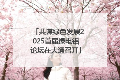 共谋绿色发展2025首届绿电铝论坛在大通召开