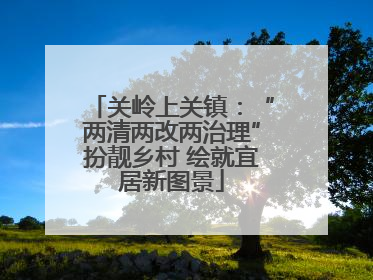 关岭上关镇：“两清两改两治理”扮靓乡村 绘就宜居新图景