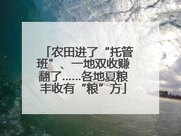 农田进了“托管班”、一地双收赚翻了……各地夏粮丰收有“粮”方