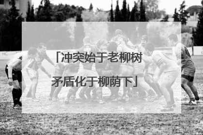 冲突始于老柳树 矛盾化于柳荫下