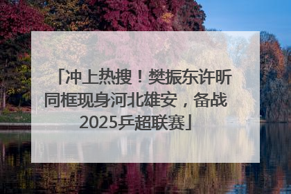 冲上热搜！樊振东许昕同框现身河北雄安，备战2025乒超联赛