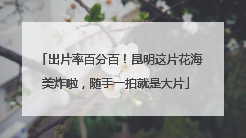 出片率百分百！昆明这片花海美炸啦，随手一拍就是大片