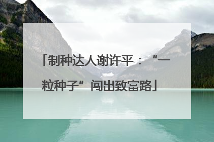 制种达人谢许平：“一粒种子”闯出致富路