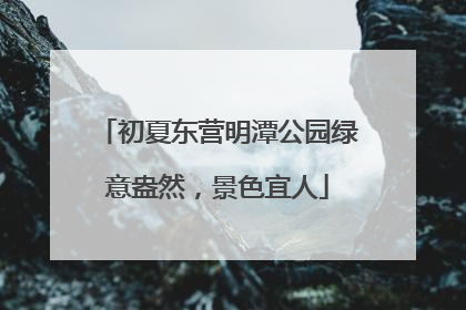 初夏东营明潭公园绿意盎然，景色宜人