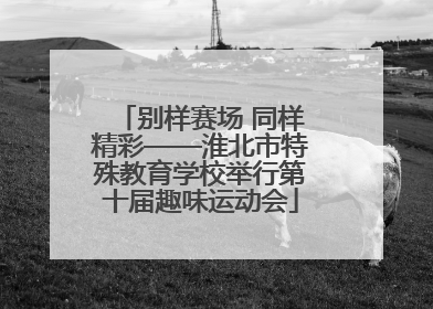 别样赛场 同样精彩——淮北市特殊教育学校举行第十届趣味运动会