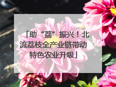 助“荔”振兴！北流荔枝全产业链带动特色农业升级