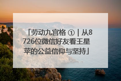 劳动九宫格 ①｜从8726位微信好友看王星苹的公益信仰与坚持