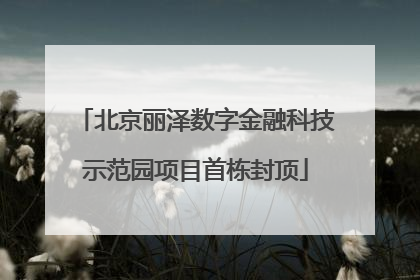 北京丽泽数字金融科技示范园项目首栋封顶