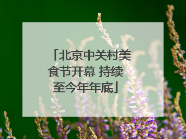 北京中关村美食节开幕 持续至今年年底