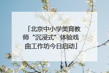 北京中小学美育教师“沉浸式”体验戏曲工作坊今日启动
