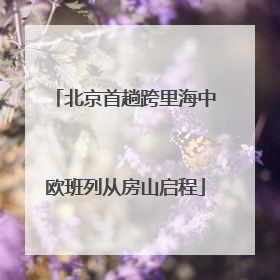 北京首趟跨里海中欧班列从房山启程
