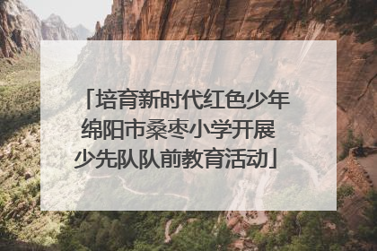 培育新时代红色少年 绵阳市桑枣小学开展少先队队前教育活动