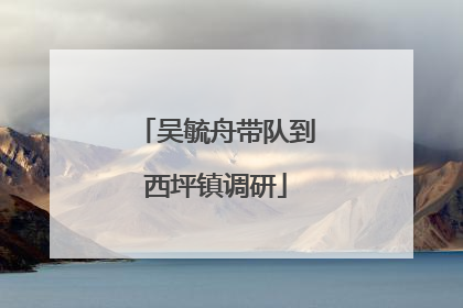 吴毓舟带队到西坪镇调研